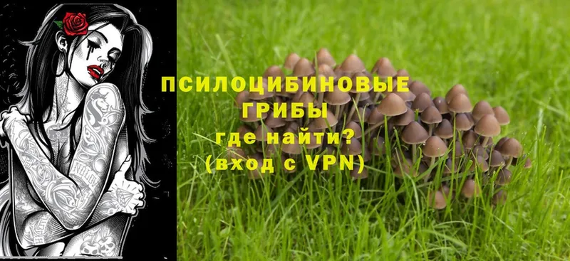 гидра как войти  Гаджиево  Галлюциногенные грибы MAGIC MUSHROOMS  купить закладку 